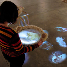 Why Look at Animals? art installation by Amy Youngs