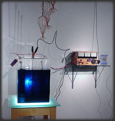 detail of alchemical bloom installation