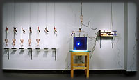 installation view of Alchemical Bloom