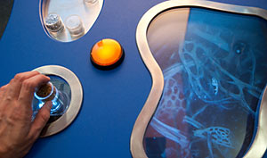 detail of interactive video microscope
