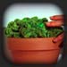 Glowing cactus, responsive to human presence