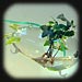 hanging glass garden