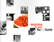 book cover worms in our furniture or future