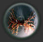 magnification distortions