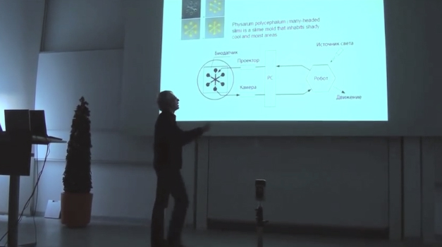 Dmitry Bulatov - Interdisciplinary Aestethics