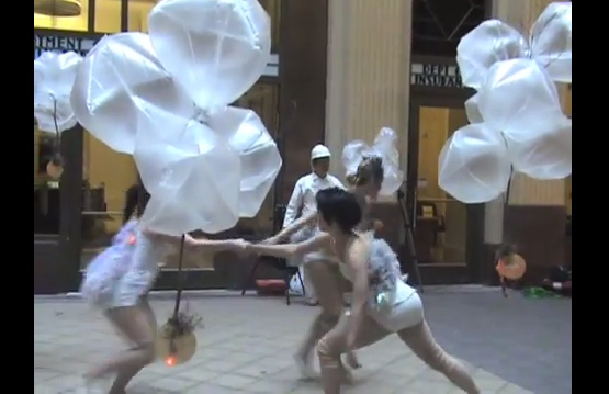 Pig Bladder-clouds in Rainforest, 2010