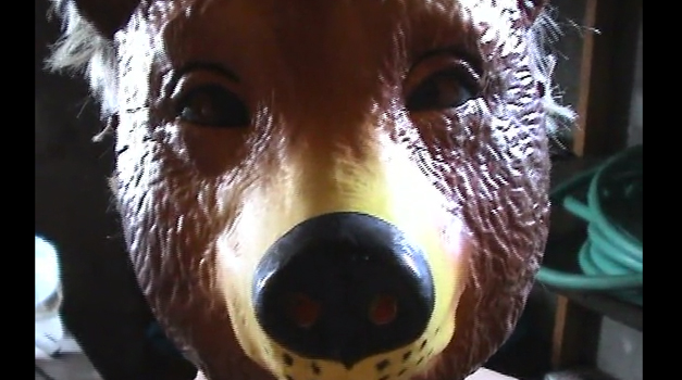 Embracing Animal (2004-06)