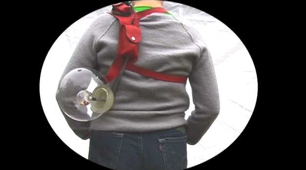 Fruit Fly Farm (2006)