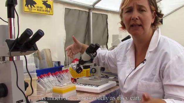 Marta's current work Bio Camp in Canada